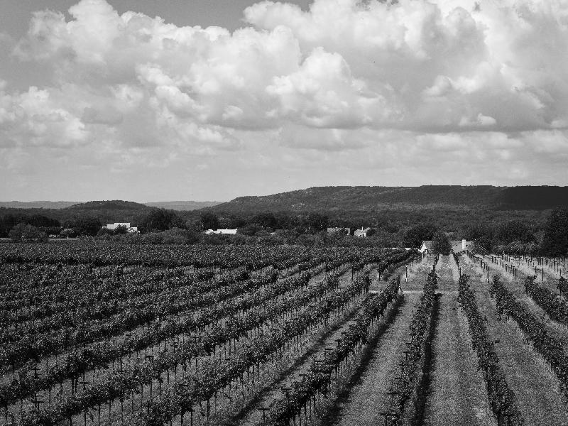 Aglianico limestone-influenced terrain