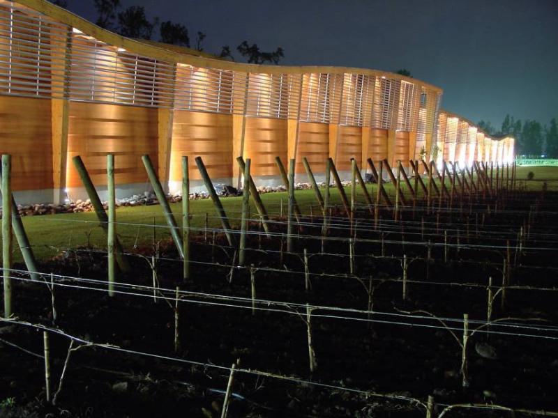 Bodega de Noche 2026