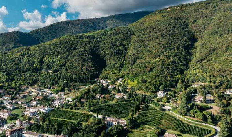 Grave di Stecca Brut