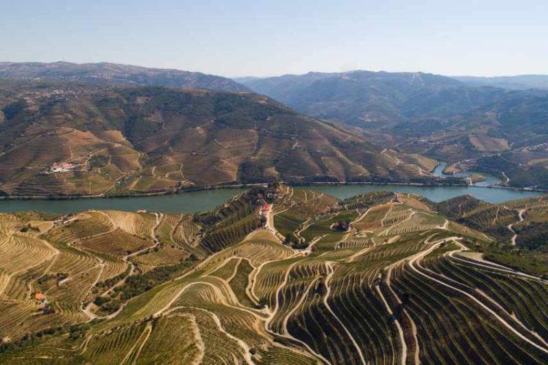 Tawny 30 Years Old 2026