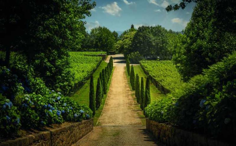 Loureiro Escolha White