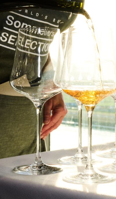 Una mano inclina un bicchiere di vino rosso; sotto ci sono tre bicchieri con diversi tipi di vino al loro interno.