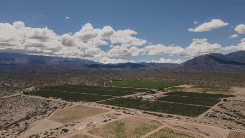 El Arenal Malbec Single Vineyard