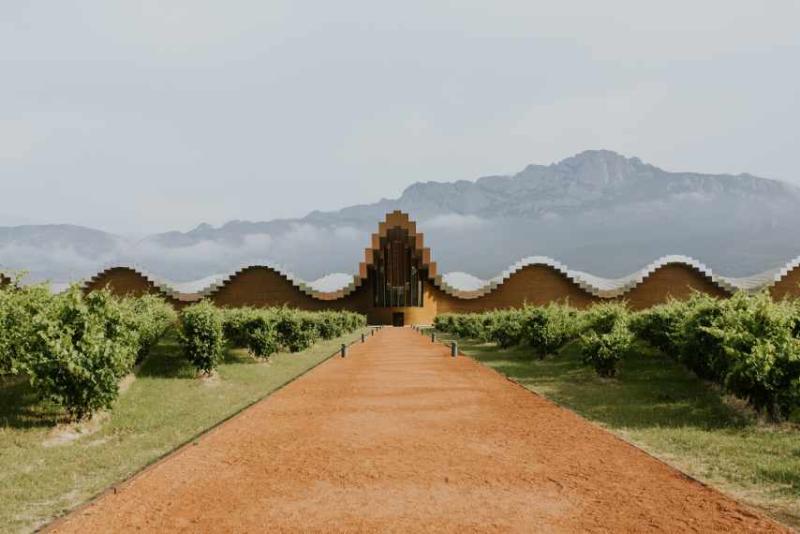 Ysios Finca Lagunazuri