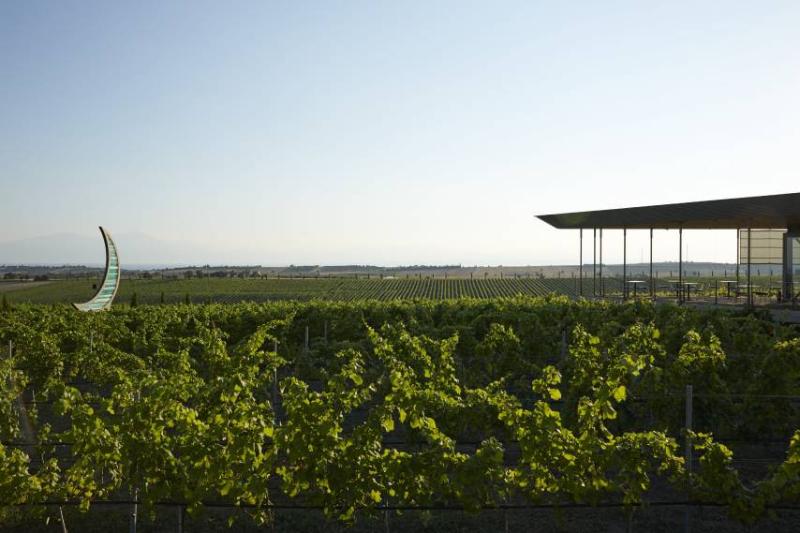 Avaton Reception Vines