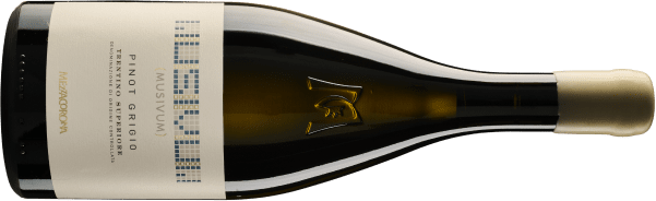 Mezzacorona Musivum Pinot Grigio Superiore