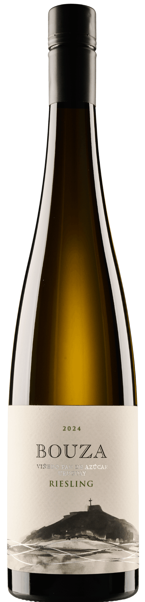 Riesling Vinedo Pan de Azucar